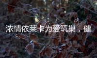 浓情依莱卡为爱筑巢，健康全铝家居感恩天下母亲!