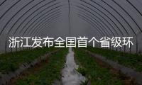 快排公司十年历程，霸屏兔 seo 的崛起与坚守