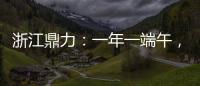 浙江鼎力�	：一年一端午�，一岁一安康！