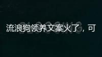 流浪狗领养文案火了，可心动	，别冲动