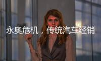 永奥危机，传统汽车经销商之困
