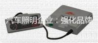 汽车照明企业
：强化品牌 提升溢价能力