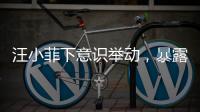 汪小菲下意识举动
，暴露真实人品，终于明白大S和马筱梅谁在说谎
