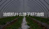 油烟机什么牌子好?油烟机十大品牌推荐