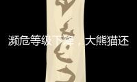 濒危等级下降，大熊猫还需要保护吗？