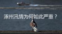 涿州汛情为何如此严重
？救援有何难点？