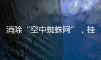 消除“空中蜘蛛网”	，桂山镇整治“头顶难题”见成效