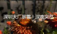 深圳大厂暴雷！深夜突然宣布停工�，员工集体失业，老板疑似已跑路