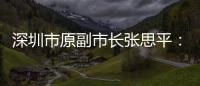 深圳市原副市长张思平	：国有企业要有所为有所不为