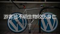 游客被不明生物咬伤身亡，三亚通报救治详情