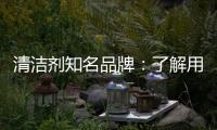 清洁剂知名品牌	：了解用户需求 注重市场反馈