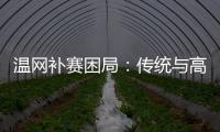 温网补赛困局
：传统与高温下的赛程危机