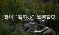 湖州“看见办”如何看见 	：20点播批评报道�，21点须研究整改