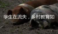 学生在流失�，乡村教育如何提质？