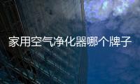 家用空气净化器哪个牌子好 一线品牌引领净化市场