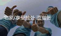 宅家/享受独处 逗猫煲剧乐无穷