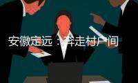 安徽定远
：奔走村户间 算好脱贫账