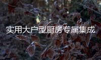 实用大户型厨房专属集成灶 奢华大气有档次