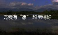 宠爱有“家”!婚房铺好世友地板
，就结婚吧