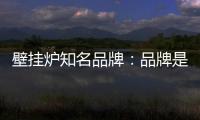 壁挂炉知名品牌：品牌是“亮点” 售后服务树口碑