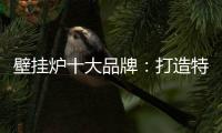 壁挂炉十大品牌：打造特色产品 立足国际市场之林