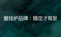 壁挂炉品牌	：稳定才有发展