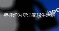 壁挂炉为舒适家居生活增添新动力
