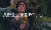 头部企业接连IPO，心脏瓣膜行业为何这么热�？