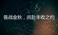 备战金秋，共赴丰收之约！潍柴WP6/WP7H收获机动力批量交付