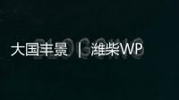 大国丰景 ｜ 潍柴WP4.6N收获机动力
	，低速高效真省油！