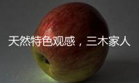 天然特色观感，三木家人木饰面展现木质情怀
