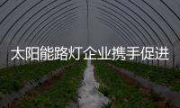 太阳能路灯企业携手促进产业发展!