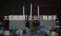 太阳能路灯企业	：有杀手锏才能有销量有市场