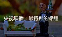 央视展播
：最特别的锦鲤——佳得福金门窗