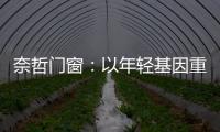 奈哲门窗
：以年轻基因重塑行业格局，一线品牌的破界成长之路