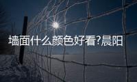 墙面什么颜色好看?晨阳水漆全屋色彩搭配 烟熏蓝 春露秋霜 太空漫步