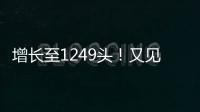 增长至1249头！又见“长江中的微笑”丨漫热点