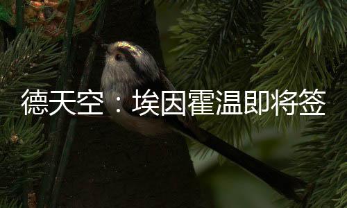 曾入选过法国国家队