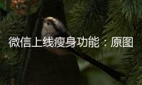 微信上线瘦身功能：原图、原视频可清理为普通画质