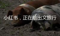 小红书�，正在给出文旅行业增长新解答