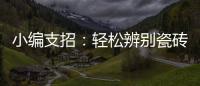 小编支招：轻松辨别瓷砖的品质