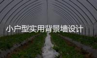 小户型实用背景墙设计 为您打造宽敞空间