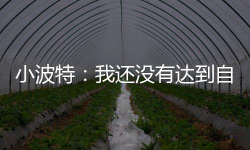 ”小波看看我能做到什么