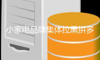 小家电品牌集体拉黑拼多多，618大战在即，拼多多能有多少胜算?