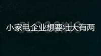 小家电企业想要壮大有两种途径