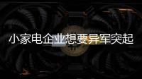 小家电企业想要异军突起 服务是核心点