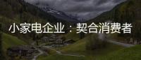 小家电企业：契合消费者需求 打造品牌消费