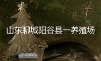 山东聊城阳谷县一养殖场发现炭疽病例，接触者已隔离治疗