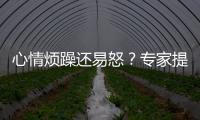 心情烦躁还易怒？专家提醒35℃以上当防“情绪中暑”丨硬核唠科