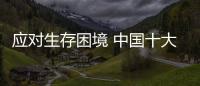 应对生存困境 中国十大品牌汽车照明需找对“门路”